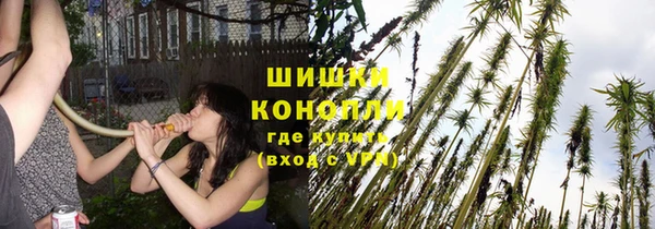 трава Абинск