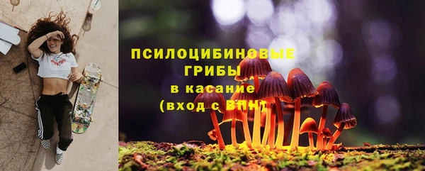 прущая мука Абаза