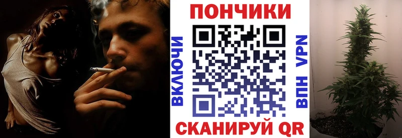 Шишки марихуана ГИДРОПОН  где найти   Электроугли 